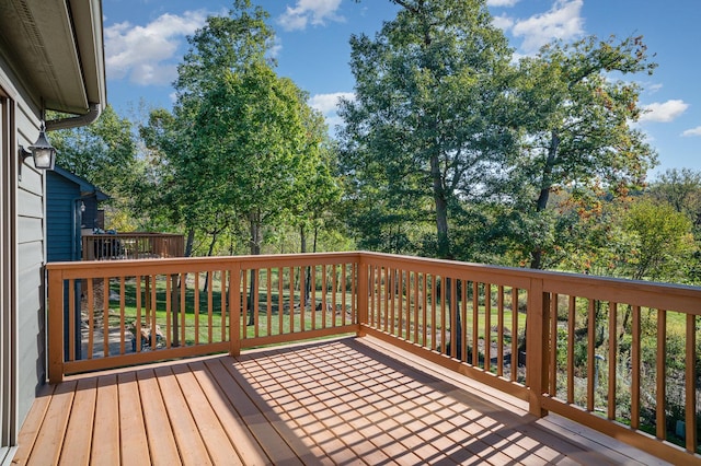 111 Village Woods Dr, Crete, IL 60417 - photo 35