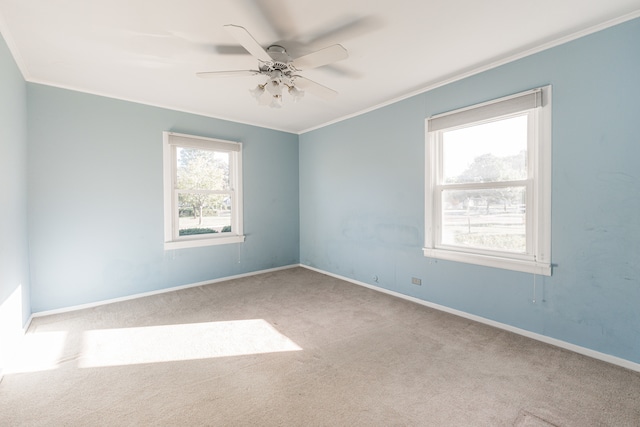 carpeted spare room with ceiling fan, crown molding, and a wealth of natural light