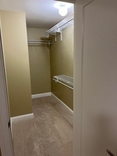 walk in closet with light colored carpet