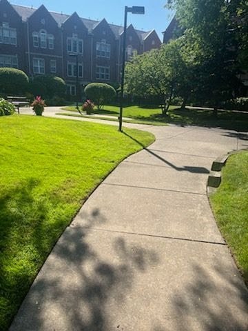 view of community featuring a yard