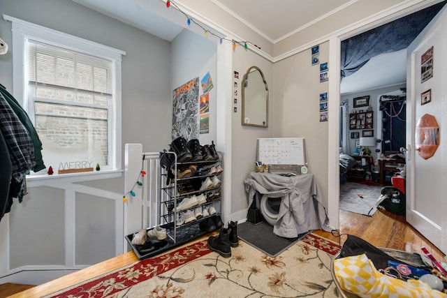 interior space featuring hardwood / wood-style flooring and crown molding