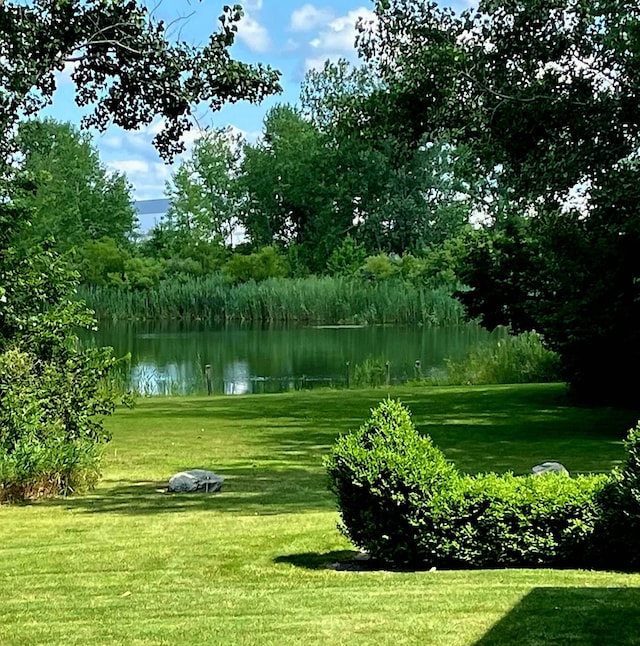 view of property's community featuring a water view and a lawn