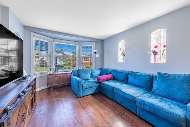 living room with dark wood-type flooring