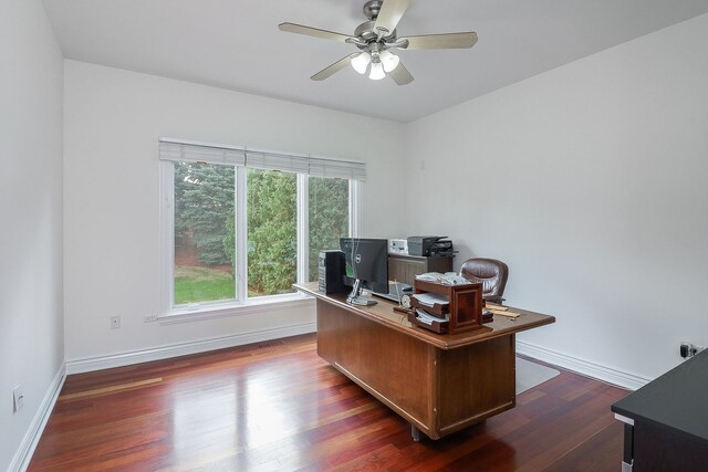 home office featuring dark hardwood / wood-style flooring and ceiling fan