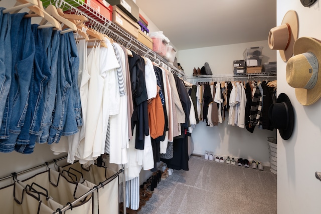 spacious closet with carpet