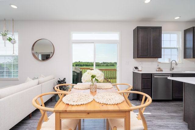 dining room featuring sink and hardwood / wood-style floors