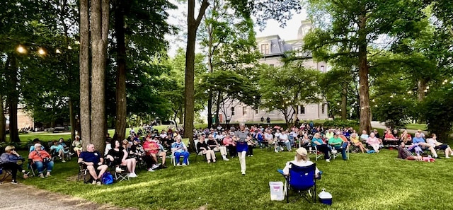 view of home's community with a lawn
