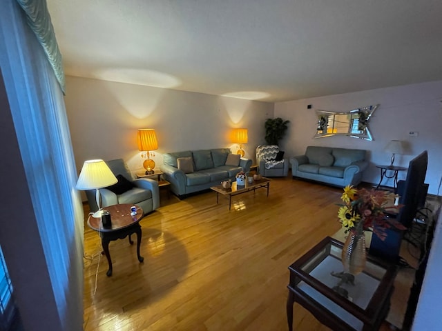 living room with hardwood / wood-style floors