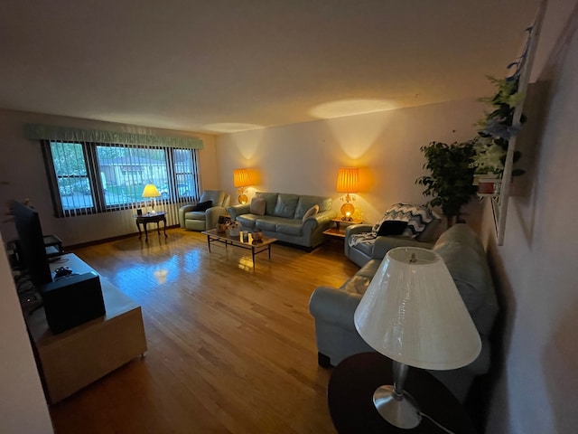 living room featuring wood-type flooring