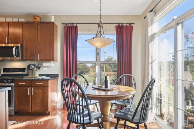 kitchen with light hardwood / wood-style floors, decorative light fixtures, and stainless steel appliances