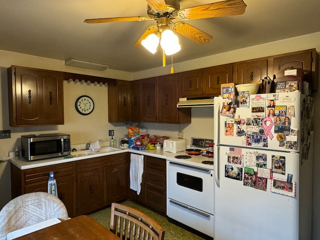 kitchen featuring dark brown cabinetry, white appliances, ceiling fan, and sink