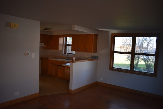 kitchen with wood-type flooring and sink