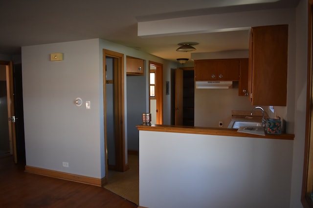 kitchen featuring dark wood-type flooring, sink, and kitchen peninsula