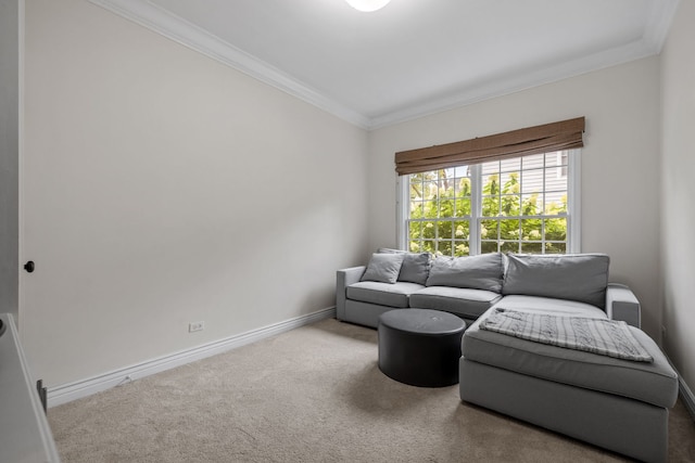 carpeted living room with ornamental molding