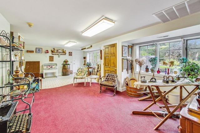 miscellaneous room with plenty of natural light and carpet flooring