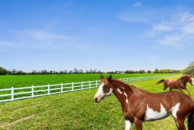 view of horse barn with a rural view