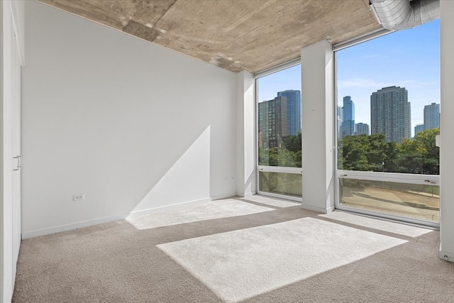 carpeted spare room featuring expansive windows