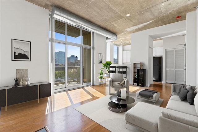 living room featuring hardwood / wood-style floors