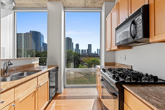 kitchen with sink, light hardwood / wood-style flooring, a healthy amount of sunlight, and black appliances