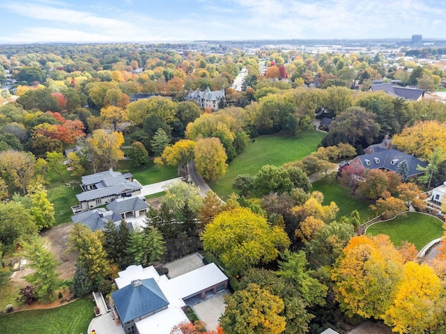 bird's eye view