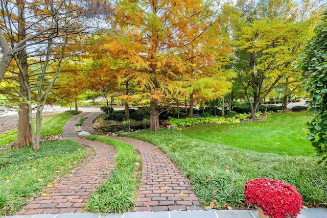 view of community featuring a lawn