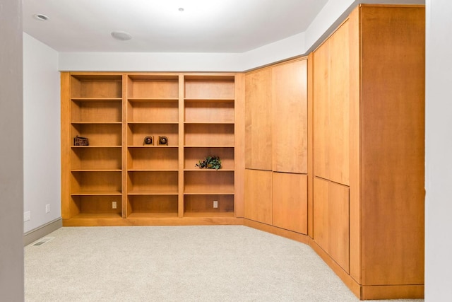 spacious closet featuring light colored carpet