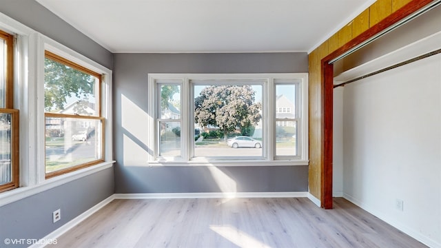 interior space featuring a closet, light hardwood / wood-style flooring, and multiple windows