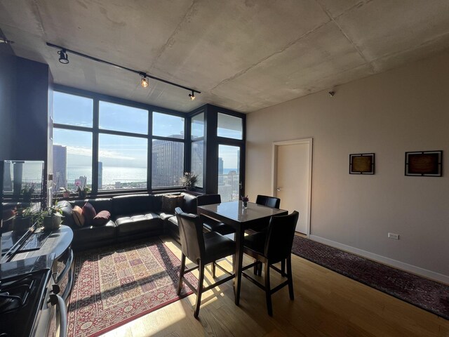 235 W Van Buren St Unit 4302, Chicago, IL 60607 - dining area featuring rail lighting, wood finished floors, baseboards, and a wall of windows