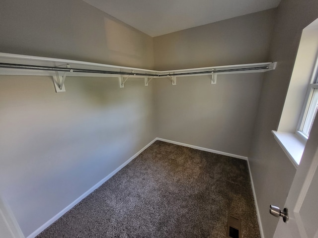 spacious closet with dark carpet