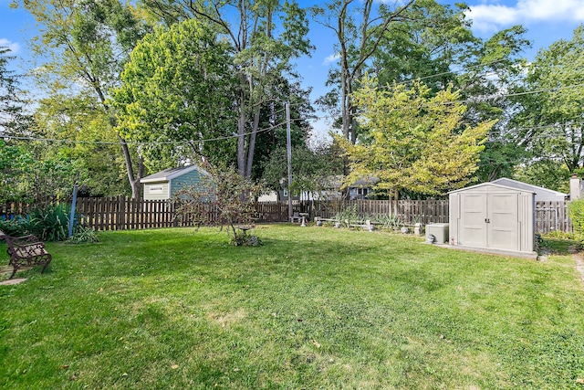 view of yard featuring a shed