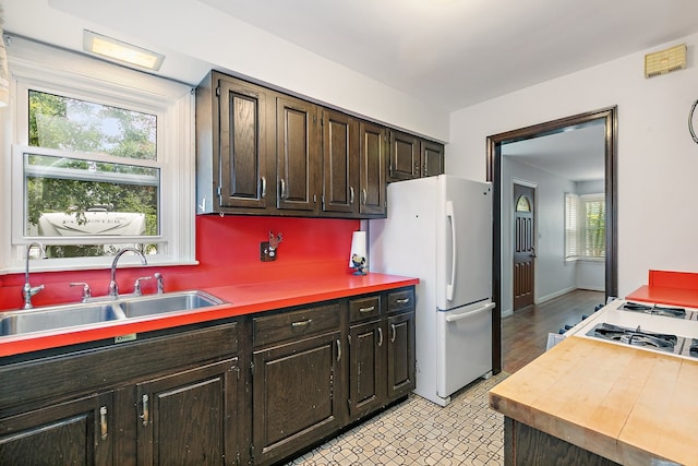 kitchen featuring white refrigerator, sink, a wealth of natural light, and dark brown cabinets