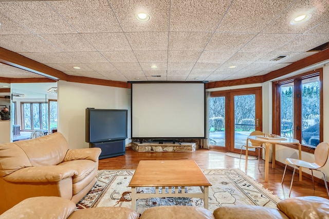 cinema featuring hardwood / wood-style floors and a wealth of natural light