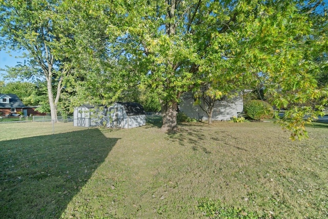 view of yard featuring a shed