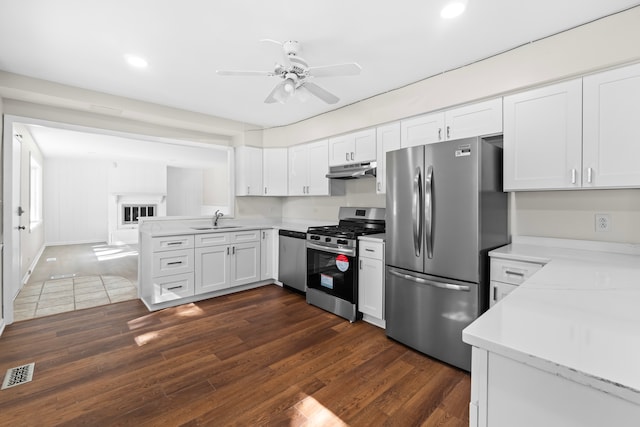 kitchen with ceiling fan, dark hardwood / wood-style floors, appliances with stainless steel finishes, and white cabinetry