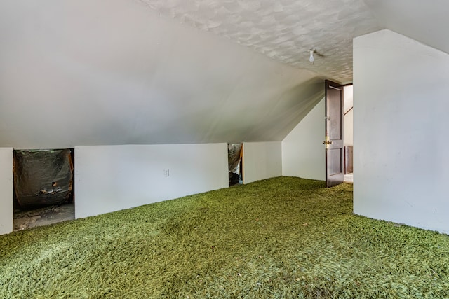 additional living space with lofted ceiling, carpet flooring, and a textured ceiling