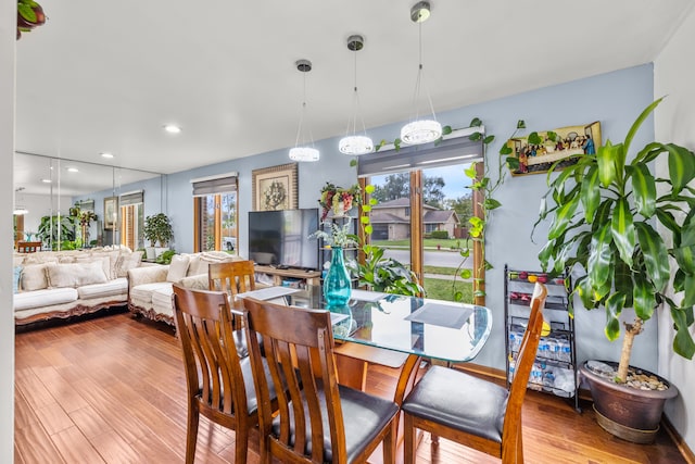 dining room featuring light hardwood / wood-style floors and plenty of natural light