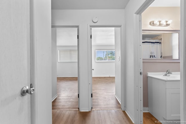 bathroom with hardwood / wood-style flooring, vanity, and a shower with curtain