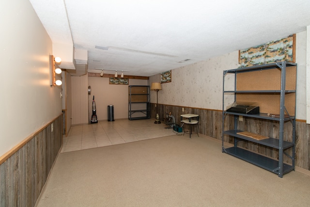 basement with light carpet, wood walls, and rail lighting