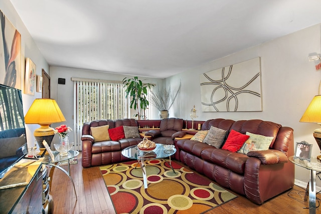 living room featuring hardwood / wood-style flooring