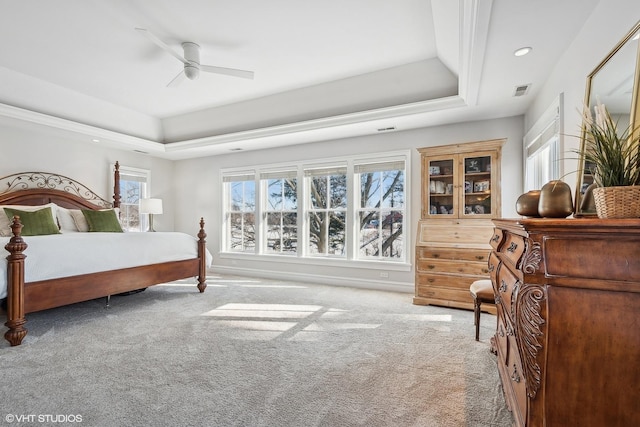 bedroom featuring a raised ceiling, ceiling fan, and carpet