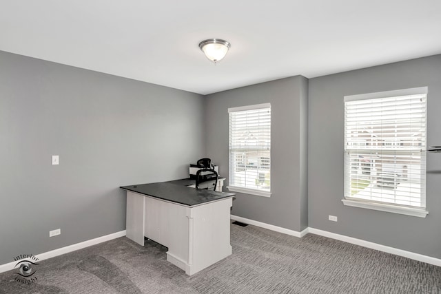 view of carpeted home office