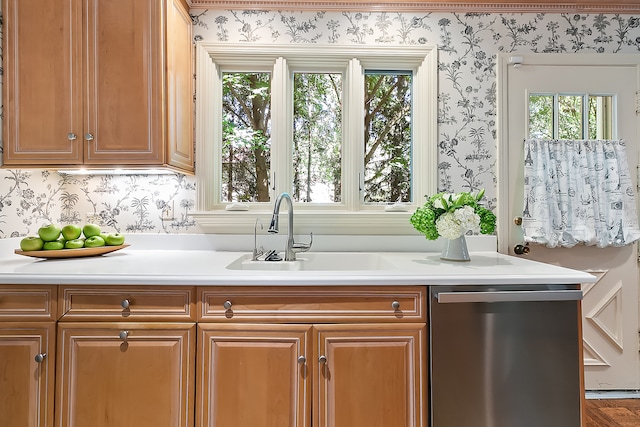 kitchen featuring sink and stainless steel dishwasher