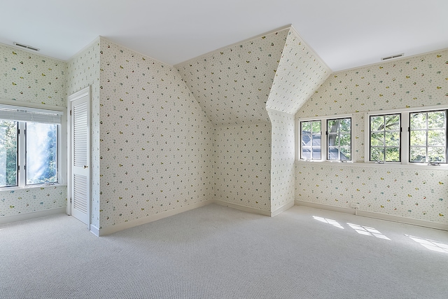 bonus room featuring a wealth of natural light and light colored carpet