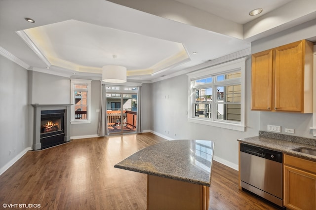 kitchen featuring hardwood / wood-style floors, a tile fireplace, stainless steel dishwasher, and a raised ceiling