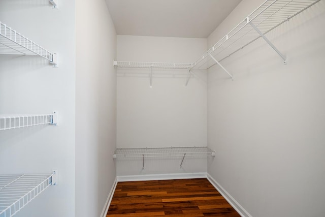 walk in closet with wood finished floors