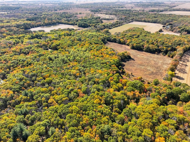 802 Union Rd, Harmon, IL 61042 - aerial view of a forest