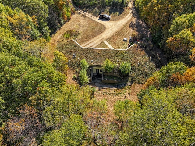 802 Union Rd, Harmon, IL 61042 - view from above of property featuring a forest