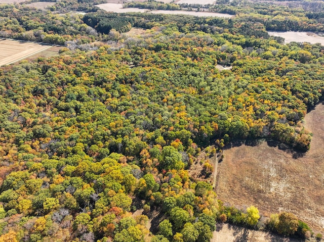 802 Union Rd, Harmon, IL 61042 - bird's eye view of a heavily wooded area