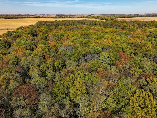 802 Union Rd, Harmon, IL 61042 - bird's eye view of a forest