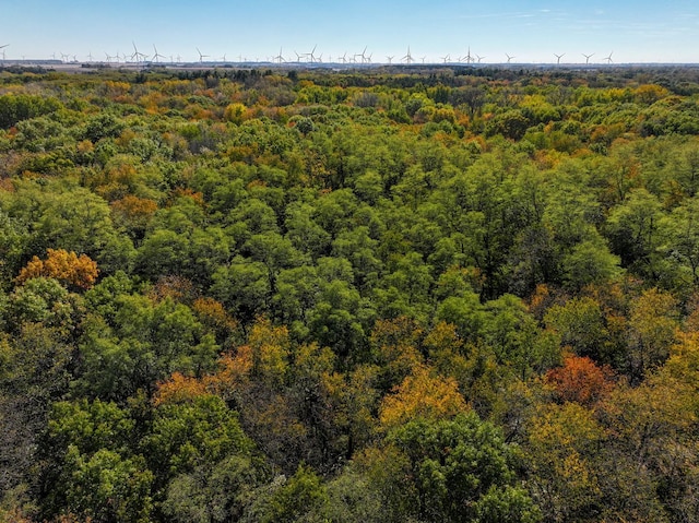802 Union Rd, Harmon, IL 61042 - drone / aerial view of a heavily wooded area